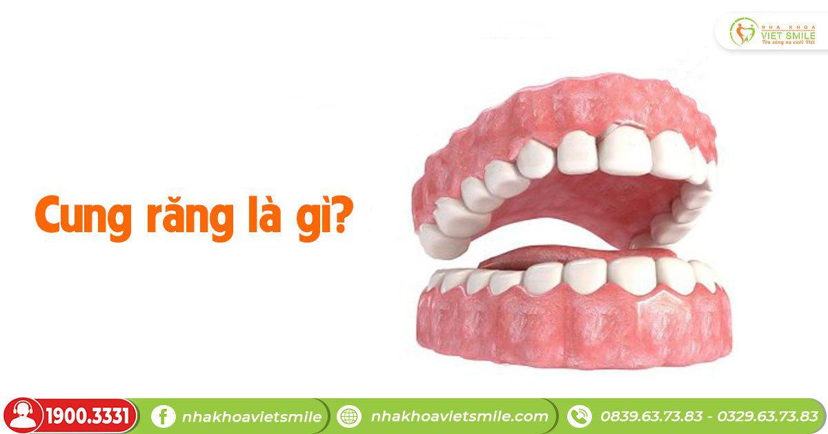 Cung răng là gì?